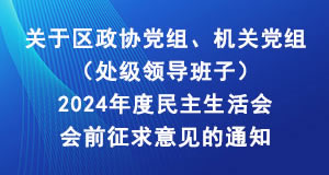 关于区政协党组、机关党组（处级领导班子）2024年度民主生活会会前征求意见的通知